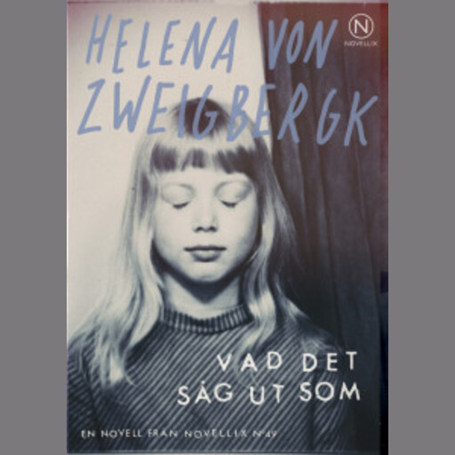 Vad det såg ut som, Helena von Zweigbergk