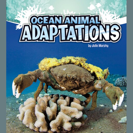 Ocean Animal Adaptations, Julie Murphy