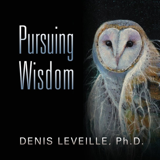 Pursuing Wisdom, Denis Leveille