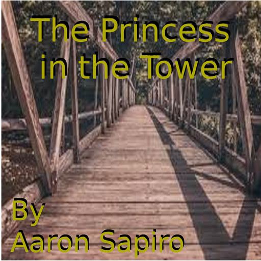 The Princess in the Tower, Aaron Sapiro