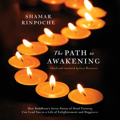The Path to Awakening, Shamar Rinpoche