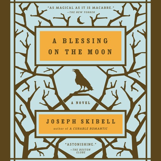 A Blessing on the Moon, Joseph Skibell