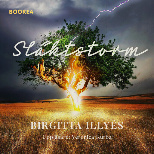 Släktstorm, Birgitta Illyés