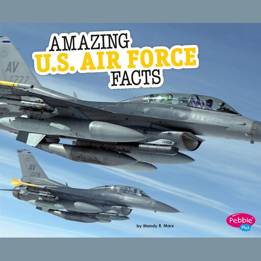 Amazing U.S. Air Force Facts, Mandy Marx