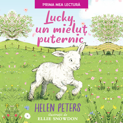 Lucky, un mieluț puternic, Helen Peters