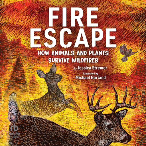 Fire Escape, Jessica Stremer