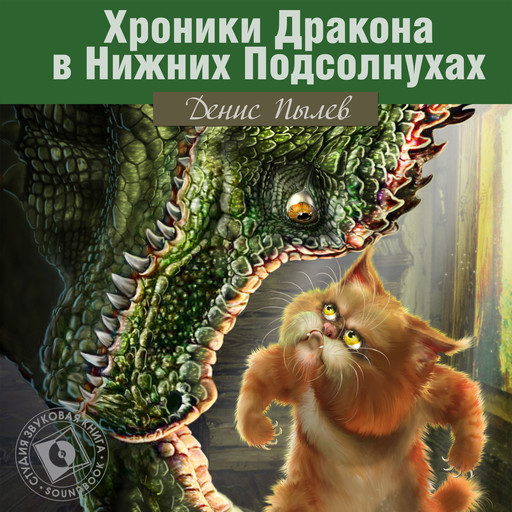 Хроники Дракона в Нижних Подсолнухах, Денис Пылев