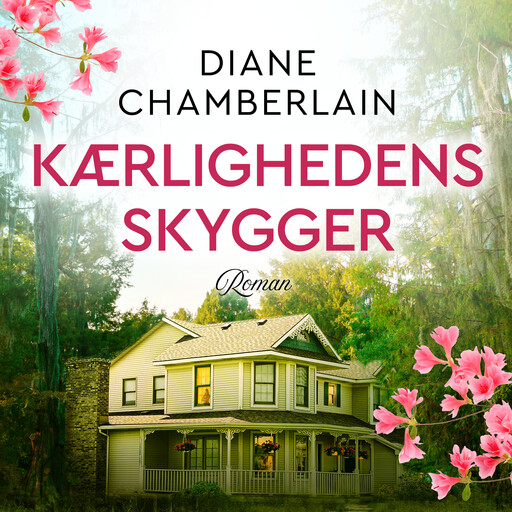 Kærlighedens skygger, Diane Chamberlain