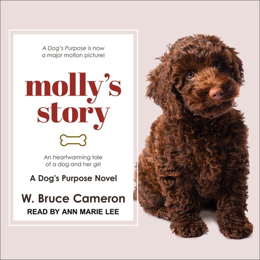 Molly's Story, W.Bruce Cameron
