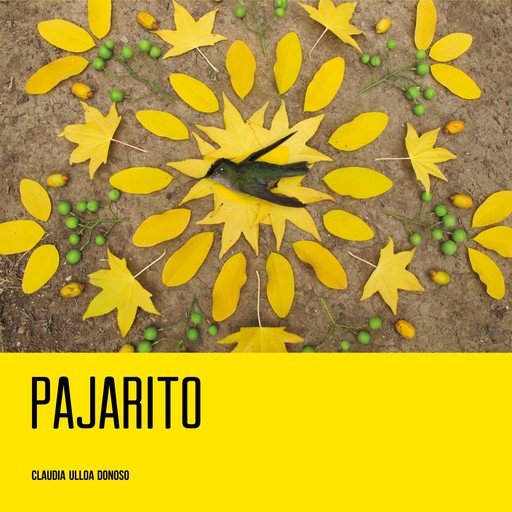 Pajarito, Claudia Ulloa