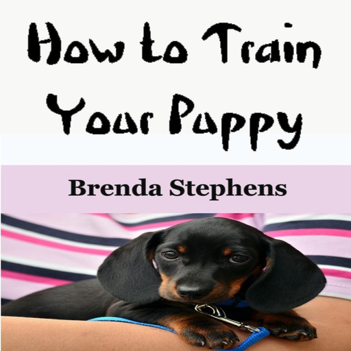 How to Train Your Puppy, Brenda Stephens