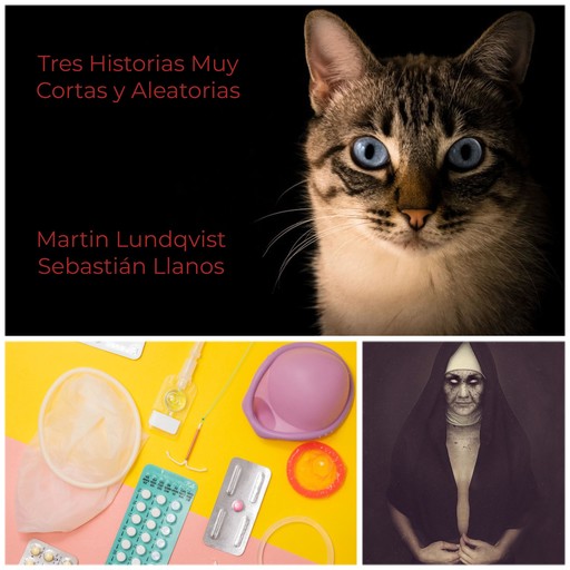 Tres Historias Muy Cortas y Aleatorias, Martin Lundqvist, Sebastian Llanos