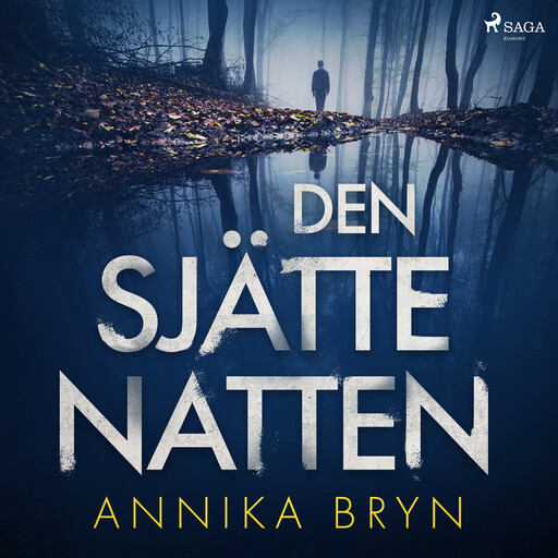 Den sjätte natten, Annika Bryn