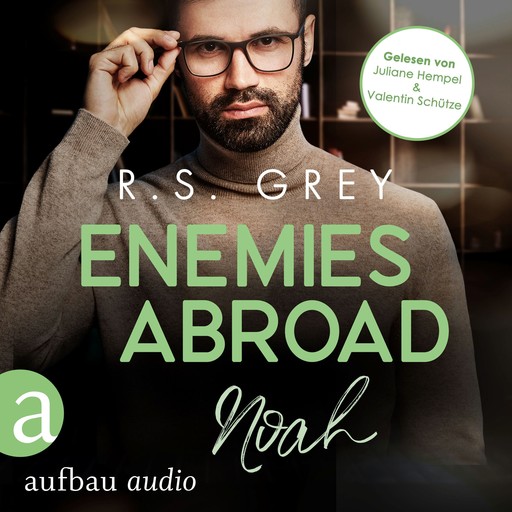 Enemies abroad - Handsome Heroes, Band 6 (Ungekürzt), R.S. Grey