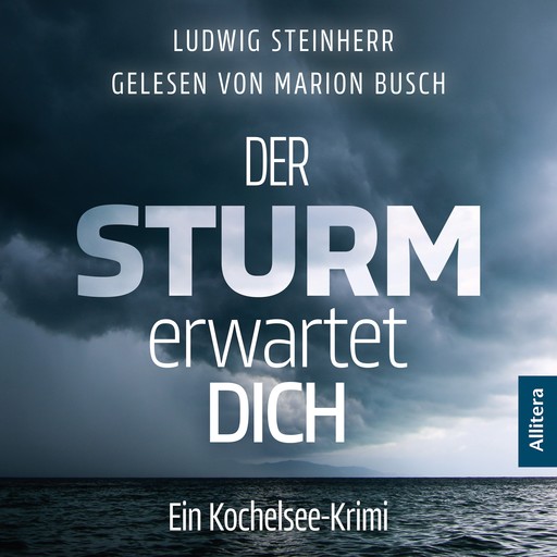 Der Sturm erwartet Dich, Ludwig Steinherr