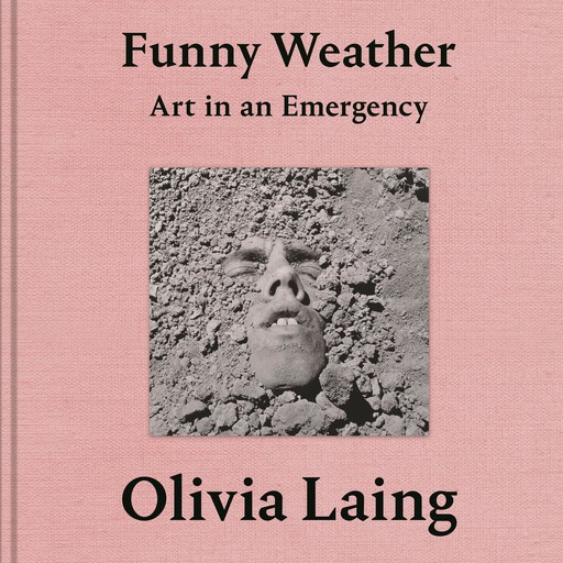 Funny Weather, Olivia Laing