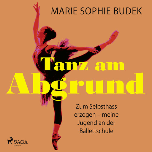 Tanz am Abgrund - Zum Selbsthass erzogen – meine Jugend an der Ballettschule, Marie Sophie Budek