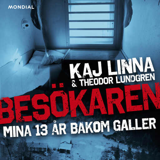 Besökaren : mina 13 år bakom galler, Theodor Lundgren, Kaj Linna