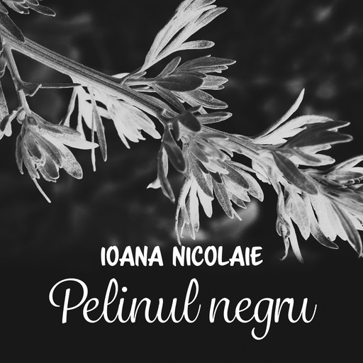 Pelinul negru, Ioana Nicolaie