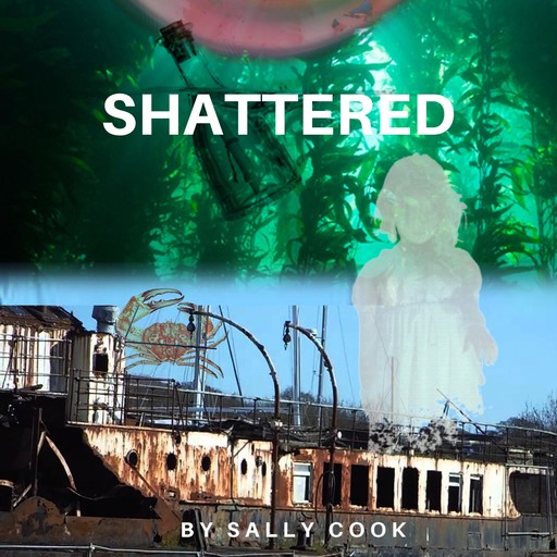 Shattered, Sally Cook