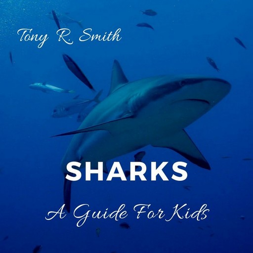 Sharks: A Guide for Kids, Tony Smith