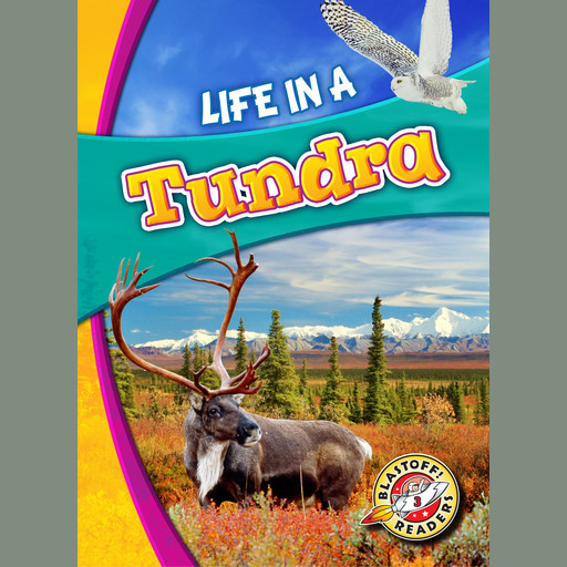 Life in a Tundra, Kari Schuetz