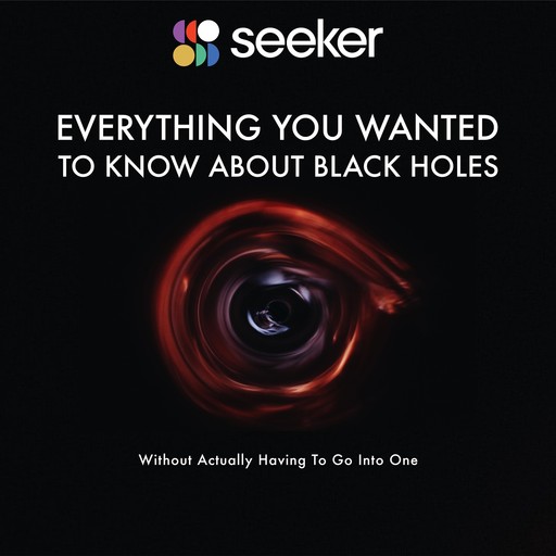 Everything You Wanted to Know About Black Holes, Seeker