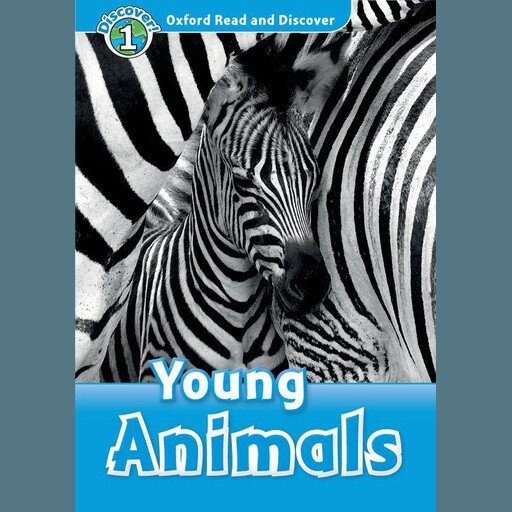 Young Animals, Rachel Bladon