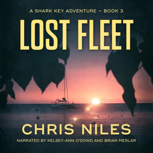 Lost Fleet, Chris Niles