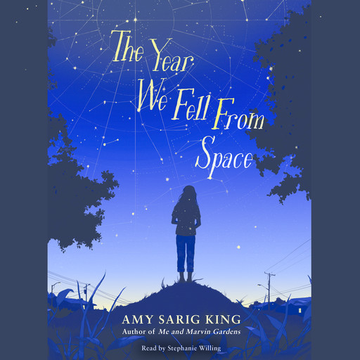 The Year We Fell From Space, Amy King