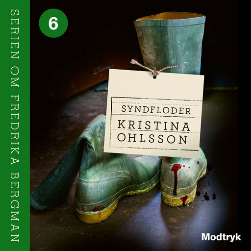 Syndfloder, Kristina Ohlsson