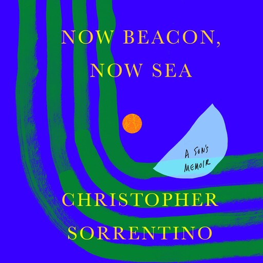 Now Beacon, Now Sea, Christopher Sorrentino