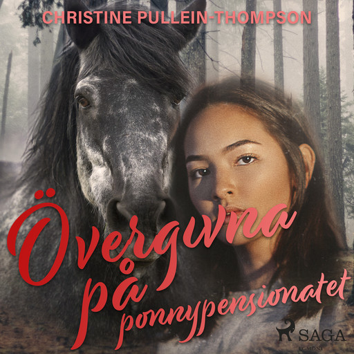 Övergivna på ponnypensionatet, Christine Pullein Thompson