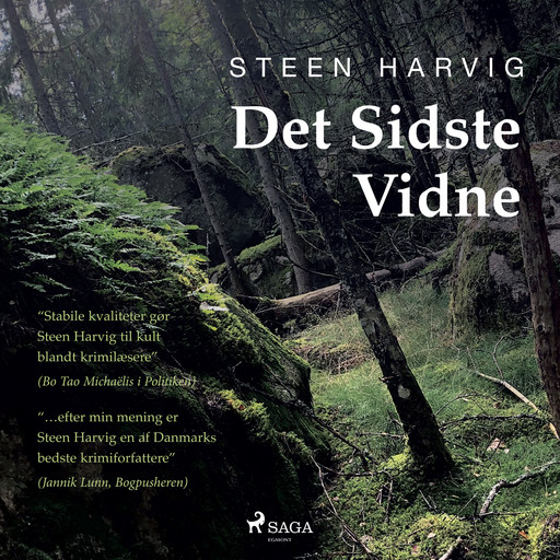 Det sidste vidne, Steen Harvig