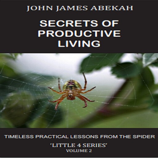 SECRETS OF PRODUCTIVE LIVING VOL. 2, John James Abekah