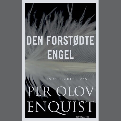 Den forstødte engel, P.O. Enquist