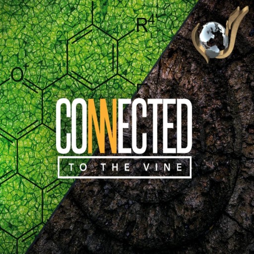 Connected To The Vine, Evangelist Nathan Morris
