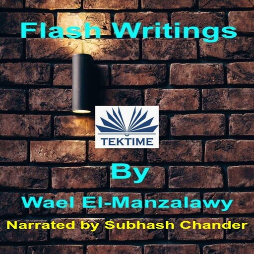 Flash Writings, Wael El-Manzalawy