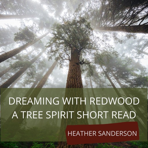Dreaming with Redwood, Heather Sanderson