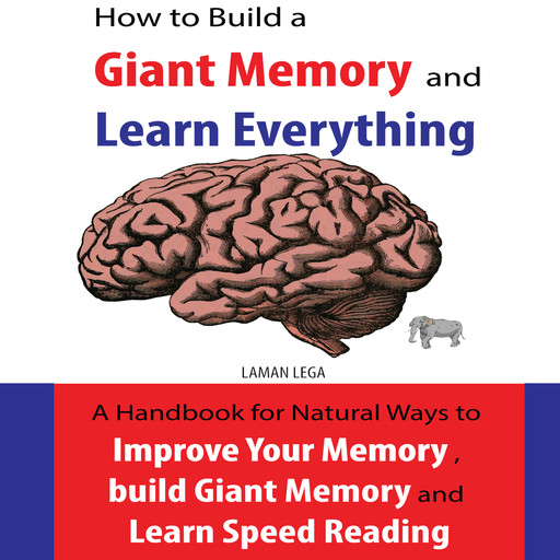 How to Build a Giant Memory and Learn Everything, Hayden Kan