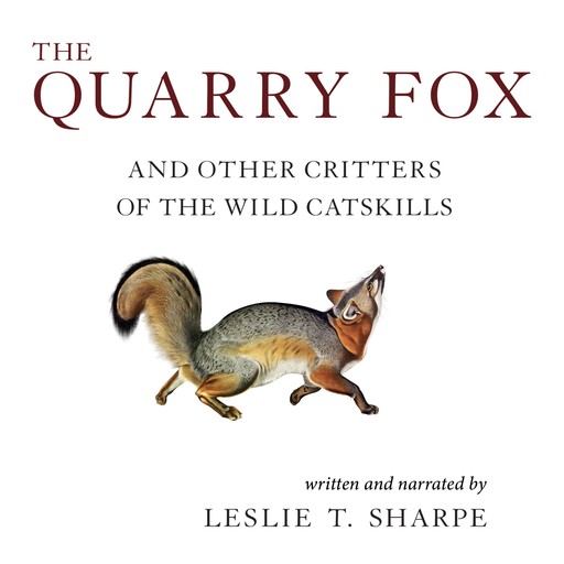 The Quarry Fox, Leslie Sharpe