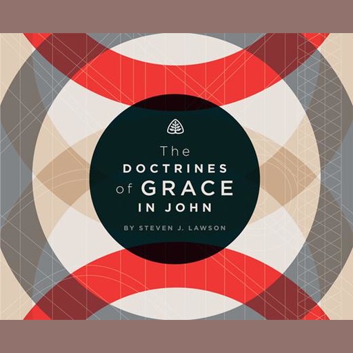 The Doctrines of Grace in John, Steven J.Lawson