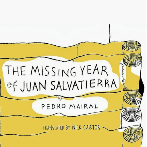 The Missing Year of Juan Salvatierra, Pedro Mairal