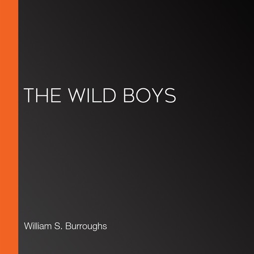 The Wild Boys, William Burroughs