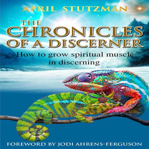 The Chronicles of a Discerner, April Stutzman