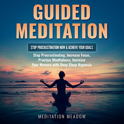 Guided Meditation - Stop Procrastination NOW & Achieve Your Goals, Meditation Meadow