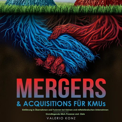 Mergers & Acquisitions für KMUs, Valerio Konz