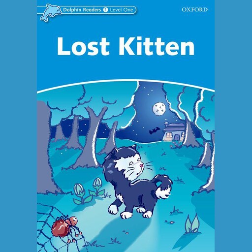 Lost Kitten, Di Taylor