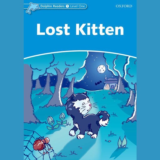 Lost Kitten, Di Taylor
