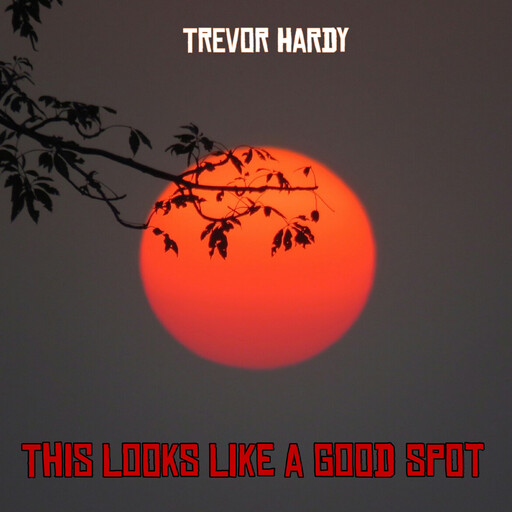This Looks Like a Good Spot, Trevor Hardy